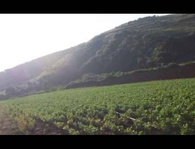 LAND FOR SALE IN UMZINTO RURAL